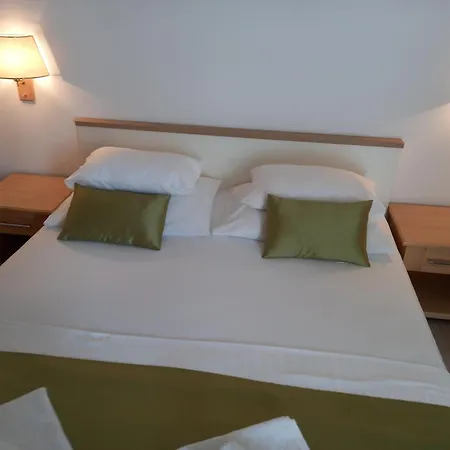 Radic Gostinjska kuća