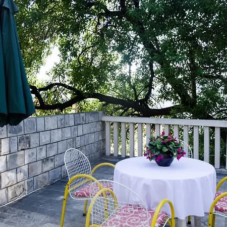 Radic Guest house 3*