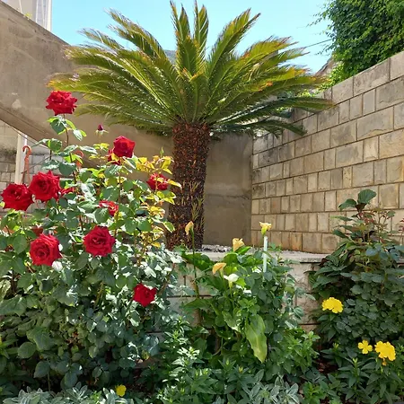 Radic Guest house